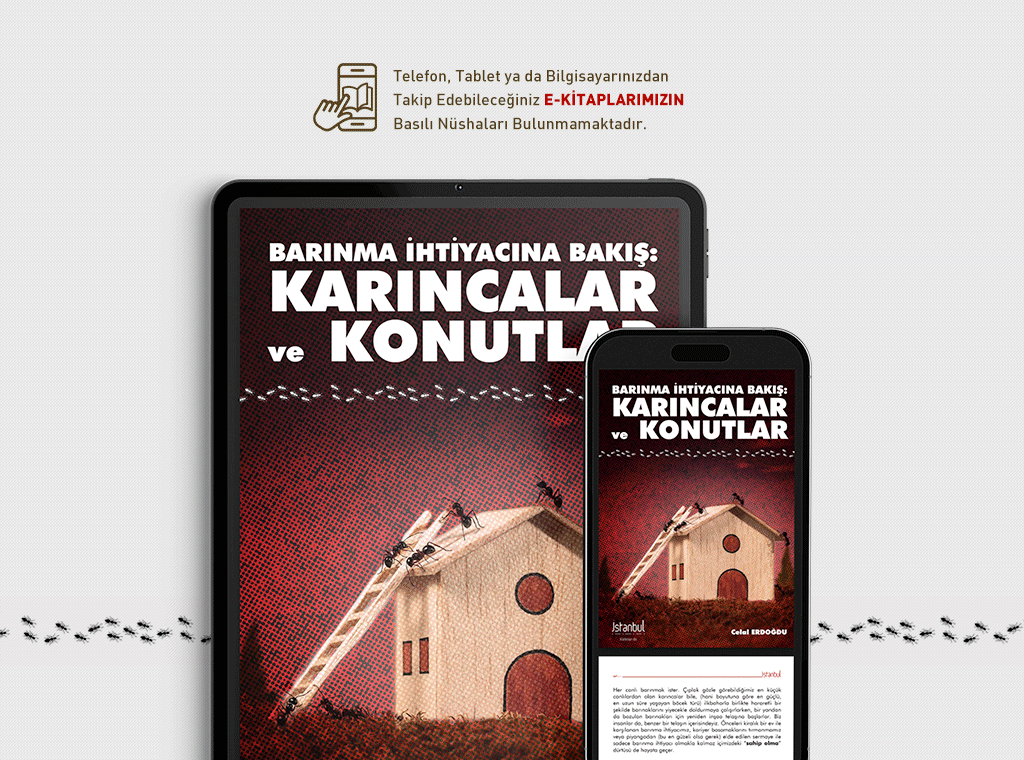 Barınma İhtiyacına Bakış - Karıncalar ve Konutlar (E-Kitap)